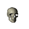 casual skull